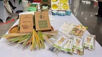 Tái chế bao bì: Lời giải kép cho môi trường và uy tín doanh nghiệp đồ uống