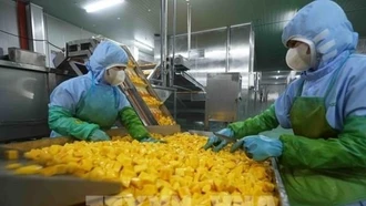 Rau quả Việt tăng tốc, tiến tới mục tiêu 10 tỷ USD