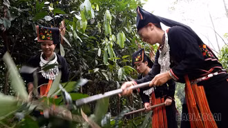 Chi bộ 4 tốt - Nòng cốt đưa phong trào thi đua ở cơ sở lan tỏa