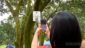 Xây dựng hệ sinh thái truy xuất nguồn gốc hiện đại, minh bạch