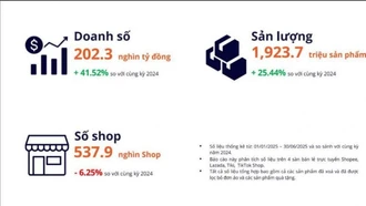 Vì sao hơn 80.000 shop lặng lẽ rời sàn thương mại điện tử?