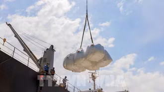 Sản xuất nông nghiệp giảm phát thải: Tiên phong từ hạt gạo Việt