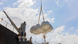 Sản xuất nông nghiệp giảm phát thải: Tiên phong từ hạt gạo Việt
