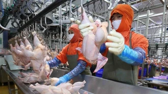 Đảm bảo nguồn cung nông sản dịp Tết 2026