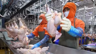 Đảm bảo nguồn cung nông sản dịp Tết 2026