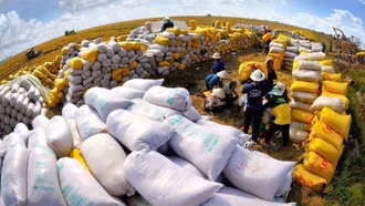 Quốc tế đánh giá cao vai trò nổi bật của Việt Nam trong chuỗi cung ứng toàn cầu