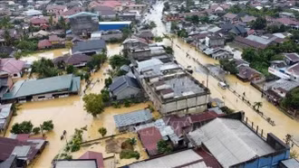 Nạn phá rừng làm gia tăng lũ lụt gây thương vong