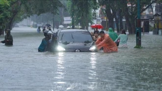 Indonesia huy động nguồn lực tái thiết giáo dục và y tế sau thiên tai tại Sumatra