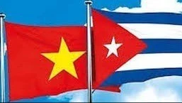 Điện mừng 65 năm ngày thiết lập quan hệ ngoại giao giữa Việt Nam và Cuba