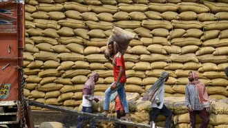 Thị trường nông sản: Giá gạo Ấn Độ chạm mức thấp nhất trong 3 năm