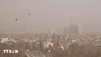 Quốc tế kêu gọi tất cả các bên ở Syria ưu tiên lợi ích tối cao của quốc gia