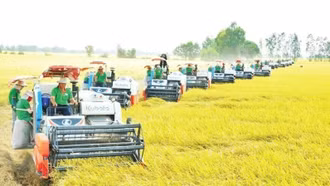 Tạo lợi thế cạnh tranh cho ngành lúa gạo Việt