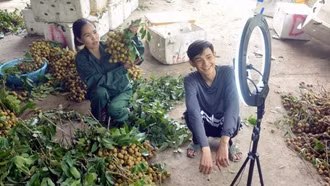 Hợp tác xã điện tử: Bước tiến quan trọng để kinh tế tập thể chuyển đổi số