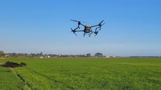 Ứng dụng AI thúc đẩy nông nghiệp công nghệ cao tại Đồng bằng sông Cửu Long