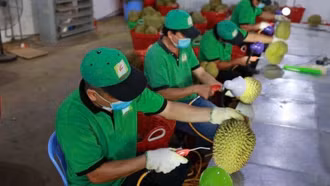 Tăng cường quản lý chất lượng nông sản xuất khẩu