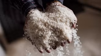 Indonesia nâng cao chất lượng gạo dự trữ để bảo đảm an ninh lương thực