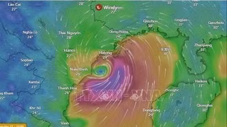 Cảnh giác với tin giả, tin sai lệch về bão lũ, thiên tai