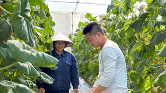 Phụ phẩm nông nghiệp: Làm sao khai thác hiệu quả?