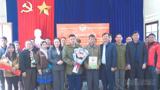 Lào Cai có 166 chi hội nông dân nghề nghiệp