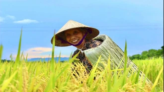 Áo tơi Yên Lạc: Giữ hồn làng trong từng mũi chằm