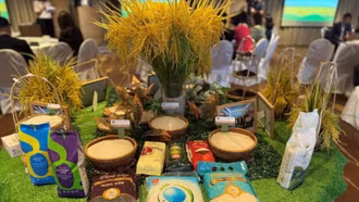 Tăng cường quảng bá gạo Việt Nam tại Đặc khu hành chính Hong Kong