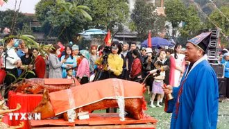 Lào Cai: Tăng trưởng mạnh trong quý 1, du lịch hứa hẹn tiếp tục bứt phá