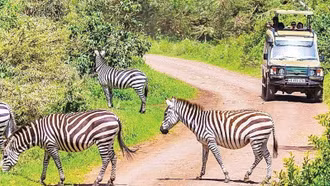 Châu Phi, điểm đến du lịch đang trỗi dậy