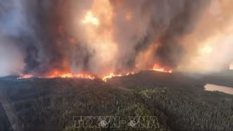 Cháy rừng ở Canada: Diện tích bị thiêu rụi gần bằng một quốc gia châu Âu