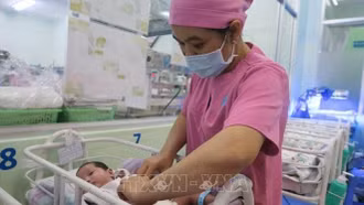 Bộ Y tế ban hành tài liệu hướng dẫn quốc gia về dịch vụ chăm sóc và điều trị trẻ sơ sinh