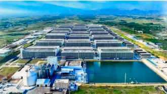 Ngành chăn nuôi cần "cú hích" từ ngân hàng giống đến chuỗi hiện đại