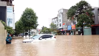 Hỗ trợ khẩn cấp kinh phí cho các tỉnh Thái Nguyên, Cao Bằng, Lạng Sơn và Bắc Ninh khắc phục hậu quả mưa lũ