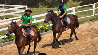 Đầu năm Ngọ, thăm nơi huấn luyện ngựa đua lớn nhất Việt Nam