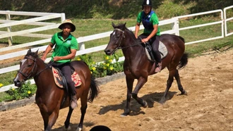 Đầu năm Ngọ, thăm nơi huấn luyện ngựa đua lớn nhất Việt Nam