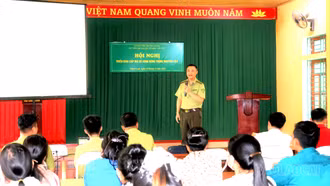 Triển khai thí điểm cấp, quản lý mã số vùng trồng rừng nguyên liệu tại Phúc Lợi và Khánh Hòa