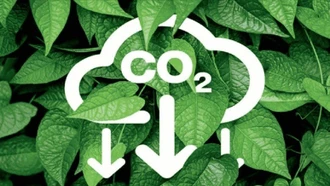 Quy định về sàn giao dịch các-bon trong nước