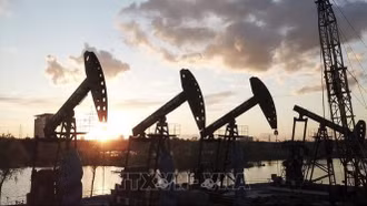 Giá dầu châu Á tiếp nối đà tăng trong sáng 14/7