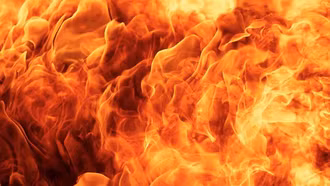 Cháy viện dưỡng lão ở Mỹ: Ít nhất 9 người thiệt mạng