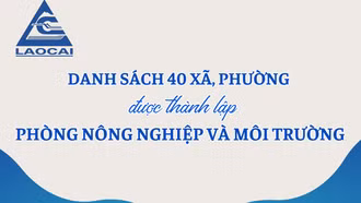 Danh sách 40 xã, phường được thành lập Phòng Nông nghiệp và Môi trường