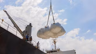 Giá gạo xuất khẩu Việt Nam cao nhất trong ba tháng