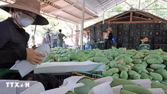 Trung Quốc là thị trường xuất khẩu nông sản lớn nhất của Việt Nam