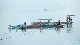Đánh thức tiềm năng nuôi thủy sản trên các lòng hồ tại Lào Cai