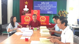 Thẩm quyền và cách thức xác định khu vực bỏ phiếu