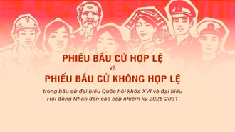 Phiếu hợp lệ và không hợp lệ trong bầu cử đại biểu Quốc hội và Hội đồng nhân dân các cấp