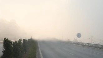 Thời tiết 14/3: Nhiều khu vực có mưa, Bắc Bộ sáng sớm sương mù