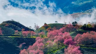 Sa Pa tăng trưởng nhanh nhất trong top 100 điểm đến hàng đầu châu Á