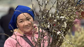 Phiên chợ Bắc Hà giáp Tết: Đào rừng, mận trắng hút khách