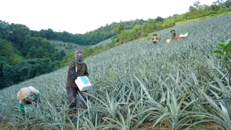 Xã biên giới Mường Khương đẩy mạnh phát triển kinh tế, giữ vững an ninh quốc phòng