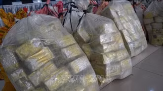 Thổ Nhĩ Kỳ thu giữ hơn 1 tấn ma túy trong chiến dịch truy quét quy mô lớn