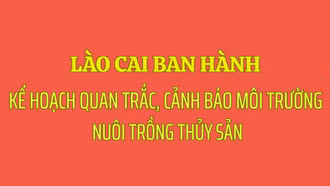 Lào Cai ban hành Kế hoạch quan trắc, cảnh báo môi trường nuôi trồng thủy sản năm 2026 và giai đoạn 2026 - 2030