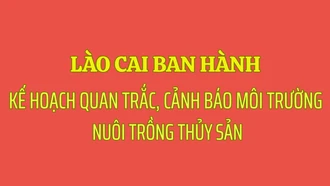 Lào Cai ban hành Kế hoạch quan trắc, cảnh báo môi trường nuôi trồng thủy sản năm 2026 và giai đoạn 2026 - 2030